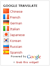 google translate mini flags vertical 10 Ways to Access Blocked Websites